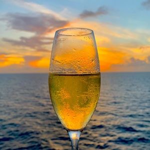 Meet your Posher, Sandi